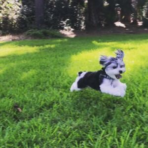 Meet your Posher, Janice ann